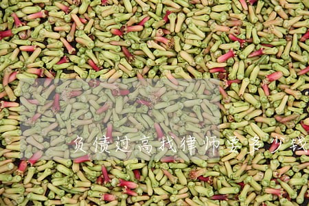 负债过高找律师要多少钱 负债过高找律师要多少钱
