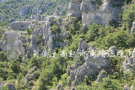 负债过高起诉离婚法院怎么判