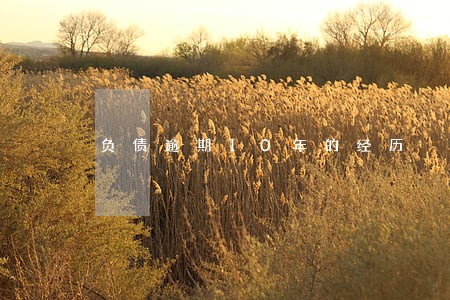 负债逾期10年的经历 负债逾期10年的经历