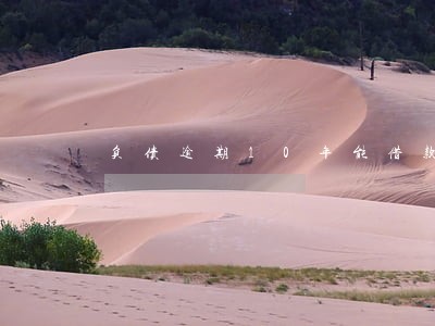 负债逾期10年能借款吗 负债逾期10年能借款吗