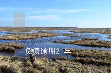 负债逾期2年