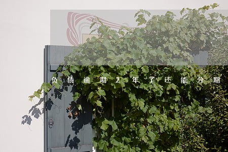 负债逾期2年了还能分期吗