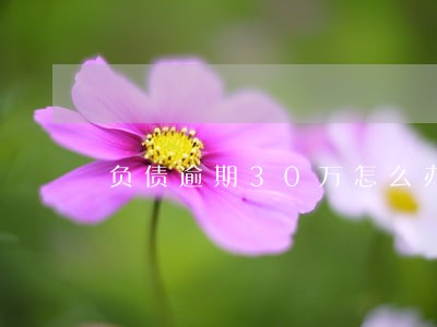 负债逾期30万怎么办 负债逾期30万怎么办
