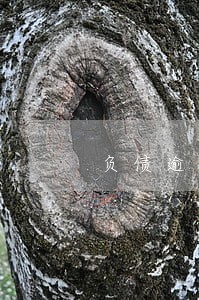 负债逾期31天好好活下去 负债逾期31天好好活下去