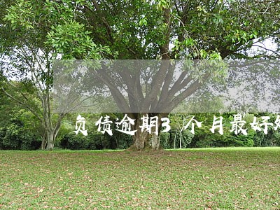 负债逾期3个月最好处理方法 负债逾期3个月最好处理方法