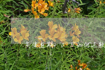 负债逾期40万如何还款 负债逾期40万如何还款