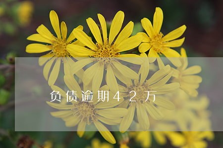 负债逾期42万 负债逾期42万