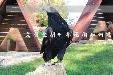 负债逾期4年还清如何建设心理 负债逾期4年还清如何建设心理
