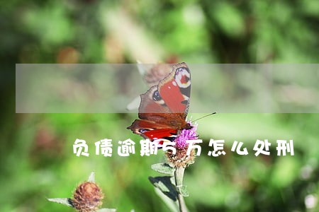 负债逾期5万怎么处刑 负债逾期5万怎么处刑