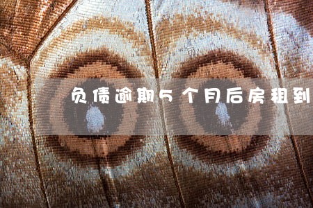 负债逾期5个月后房租到期没钱交 负债逾期5个月后房租到期没钱交