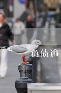 负债逾期60万又得了大病 负债逾期60万又得了大病