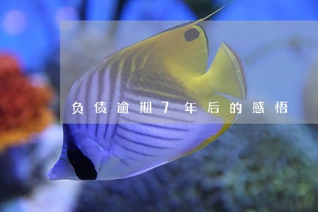 负债逾期7年后的感悟 负债逾期7年后的感悟