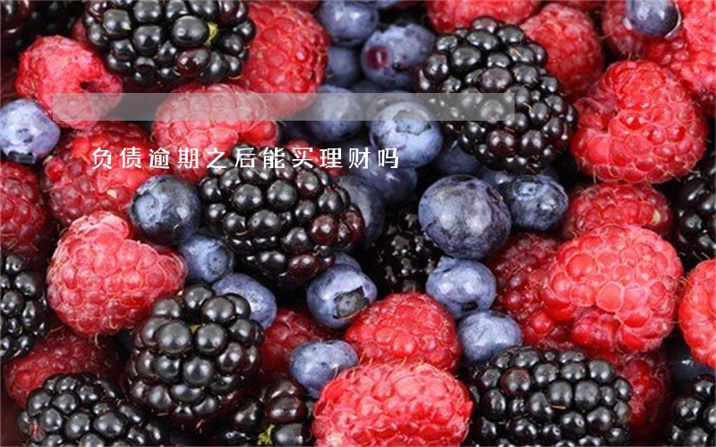 负债逾期之后能买理财吗