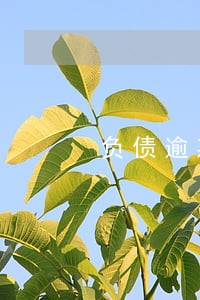 负债逾期会冻结配偶银行卡吗 负债逾期会冻结配偶银行卡吗