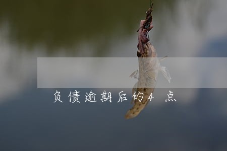 负债逾期后的4点 负债逾期后的4点