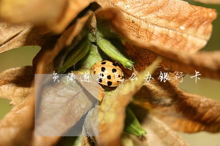 负债逾期怎么办银行卡 负债逾期怎么办银行卡