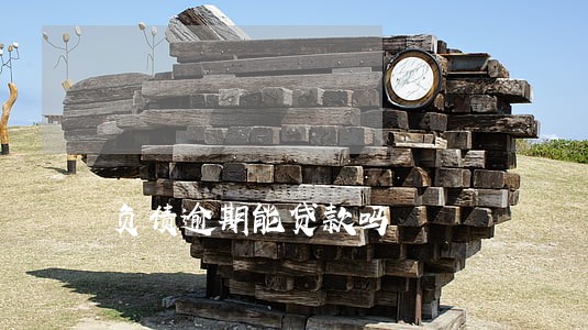负债逾期能贷款吗 负债逾期能贷款吗