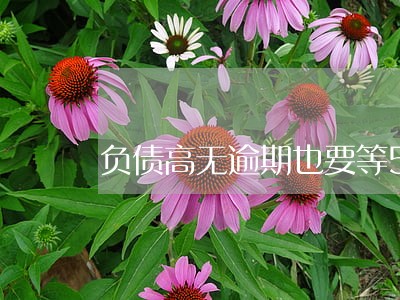 负债高无逾期也要等5年吗 负债高无逾期也要等5年吗