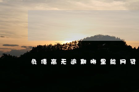 负债高无逾期哪里能网贷 负债高无逾期哪里能网贷