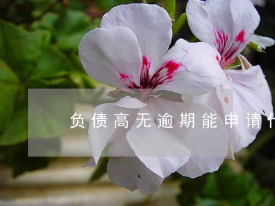 负债高无逾期能申请什么网贷 负债高无逾期能申请什么网贷