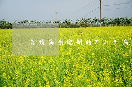 负债高有逾期的714高炮口子 负债高有逾期的714高炮口子