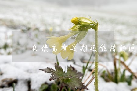 负债高有逾期还能借的网贷