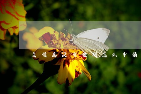 负债高没有逾期怎么申请信用卡 负债高没有逾期怎么申请信用卡