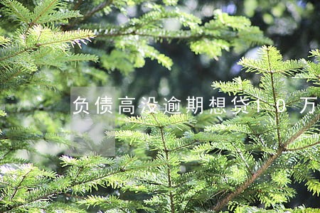 负债高没逾期想贷10万 负债高没逾期想贷10万