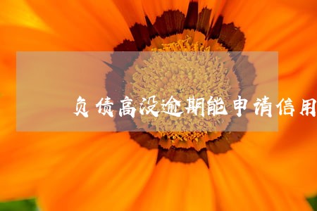 负债高没逾期能申请信用卡吗 负债高没逾期能申请信用卡吗