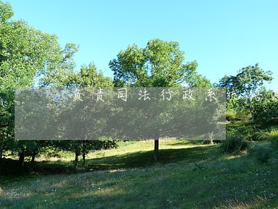 负责司法行政系统信息化建设 负责司法行政系统信息化建设