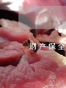 财产保全房产法院能拍卖吗