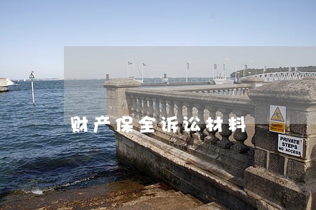 财产保全诉讼材料