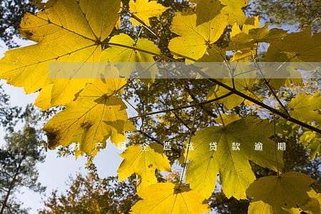 财产保全造成贷款逾期 财产保全造成贷款逾期