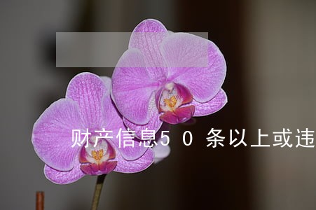财产信息50条以上或违法所得