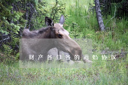 财产各归各的离婚协议 财产各归各的离婚协议