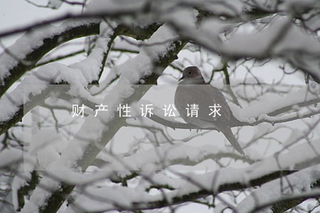 财产性诉讼请求 财产性诉讼请求