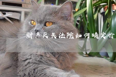 财产灭失法院如何确定价值 财产灭失法院如何确定价值