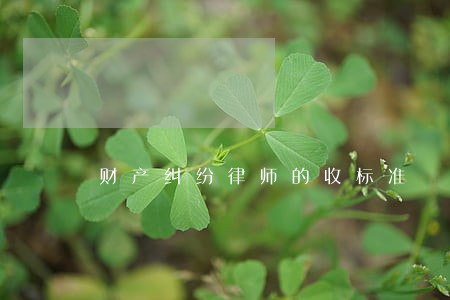 财产纠纷律师的收标准