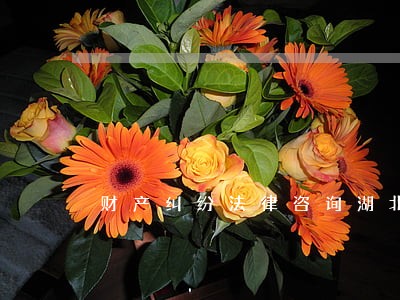 财产纠纷法律咨询湖北 财产纠纷法律咨询湖北