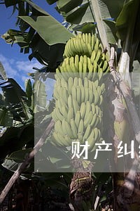 财产纠纷法律咨询费用