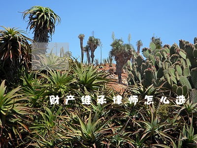 财产继承律师怎么选 财产继承律师怎么选