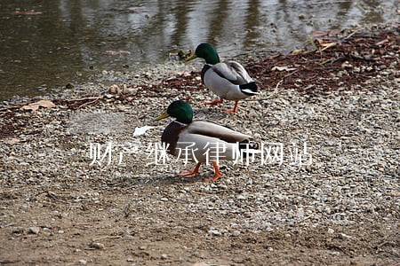财产继承律师网站 财产继承律师网站
