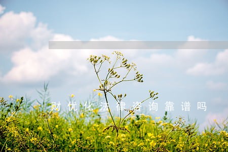 财优化法律咨询靠谱吗 财优化法律咨询靠谱吗