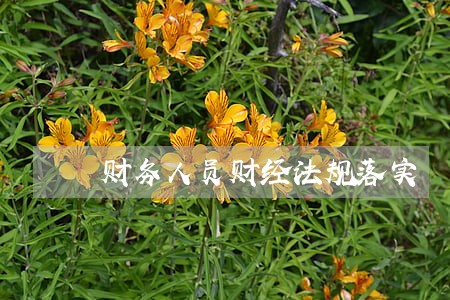 财务人员财经法规落实 财务人员财经法规落实