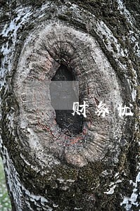 财务优化服务真的可以只还本金吗 财务优化服务真的可以只还本金吗