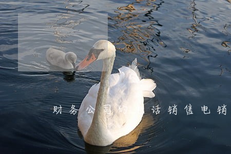 财务公司的电话销售电销违法吗 财务公司的电话销售电销违法吗