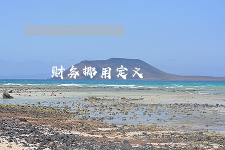 财务挪用定义 财务挪用定义