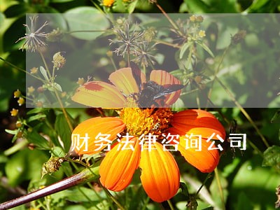 财务法律咨询公司 财务法律咨询公司