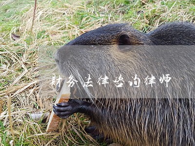 财务法律咨询律师 财务法律咨询律师