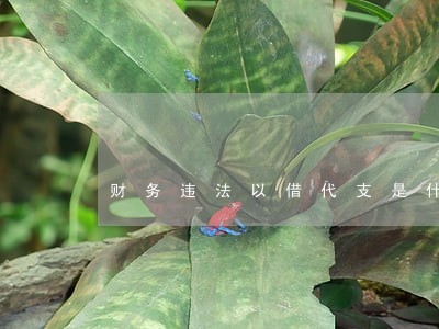 财务违法以借代支是什么意思 财务违法以借代支是什么意思